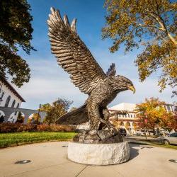 红鹰雕像欢迎学生和游客来到校园.